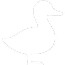Duckzr Studios